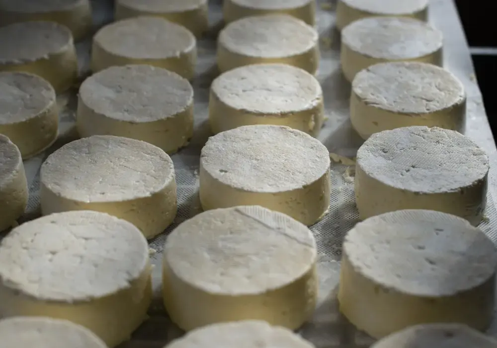 Ricotta w kuchni włoskiej - Jak jej używać bez błędów?