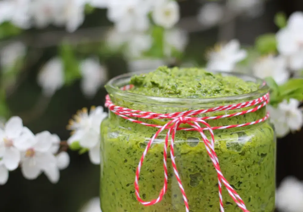 Jak wykorzystać pesto z czosnku niedźwiedziego w codziennych daniach