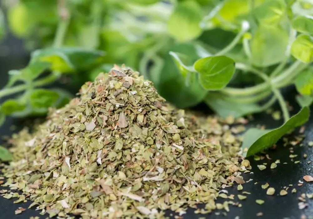 Świeże oregano do czego pasuje? Odkryj najlepsze zastosowania w kuchni