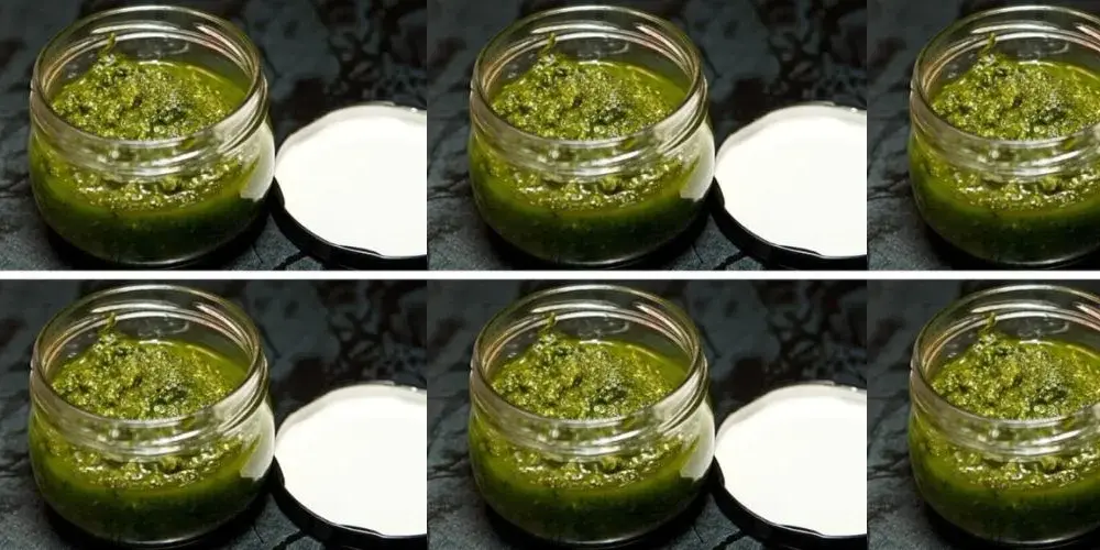 Ile pesto może stać w lodówce? Sprawdź, by uniknąć zepsucia