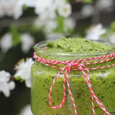 Jak wykorzystać pesto z czosnku niedźwiedziego w codziennych daniach