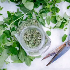 Kiedy suszyć oregano, aby zachować jego smak i aromat na dłużej