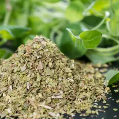Świeże oregano do czego pasuje? Odkryj najlepsze zastosowania w kuchni