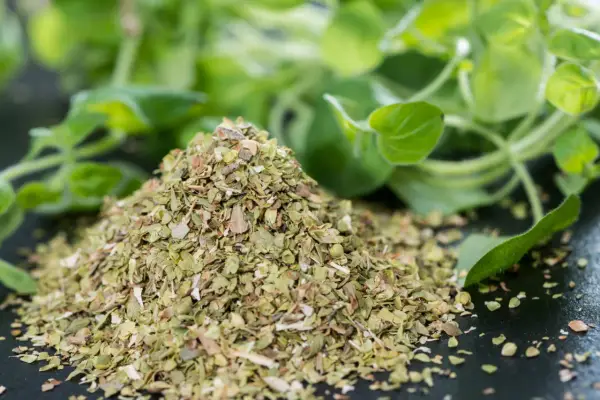 Świeże oregano do czego pasuje? Odkryj najlepsze zastosowania w kuchni